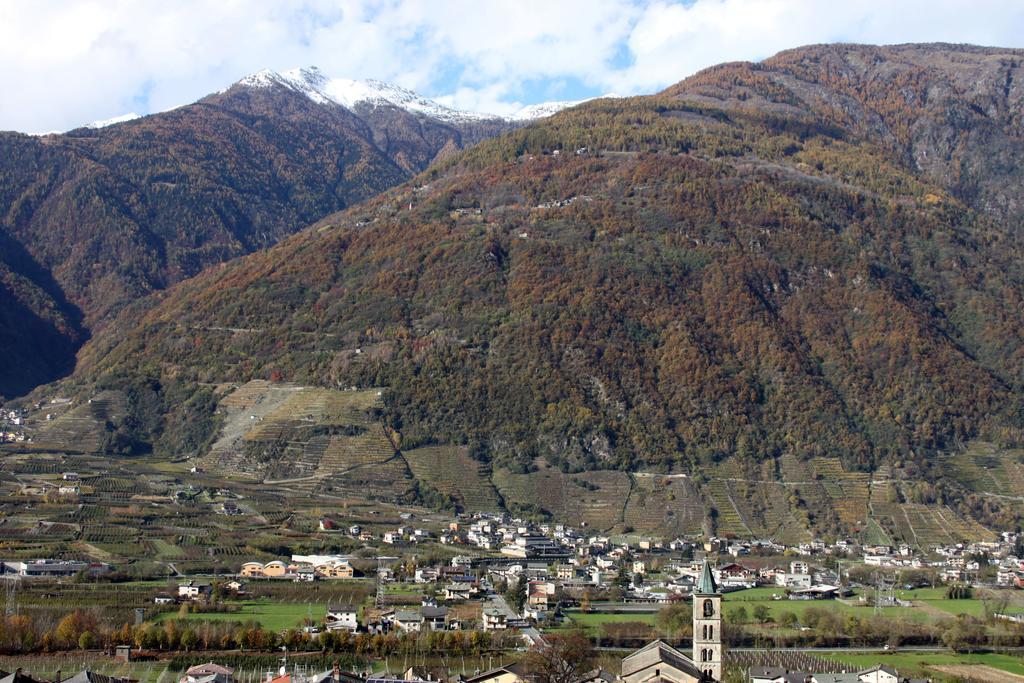La Madonnina Daire Villa di Tirano Dış mekan fotoğraf