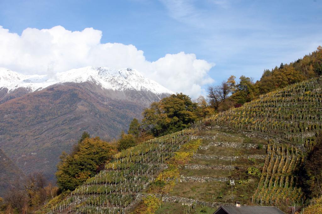 La Madonnina Daire Villa di Tirano Oda fotoğraf