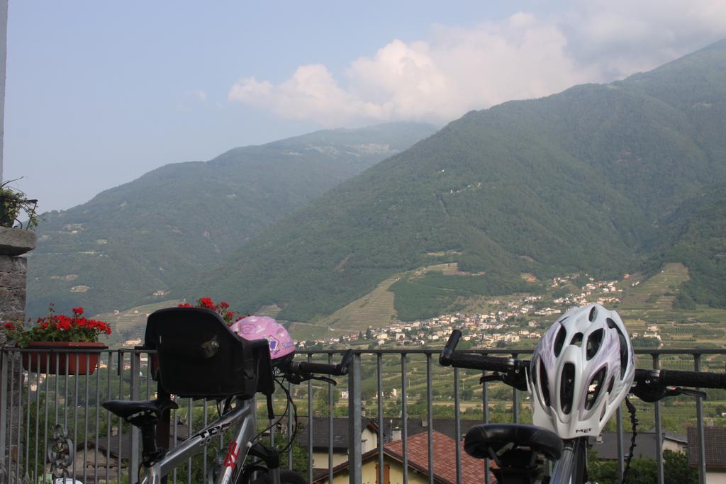 La Madonnina Daire Villa di Tirano Dış mekan fotoğraf